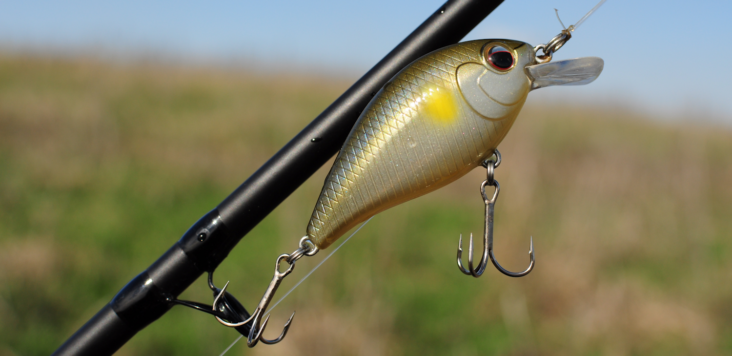 Bass Fishing During the Spawn with KVD Square Bill Crankbaits. 